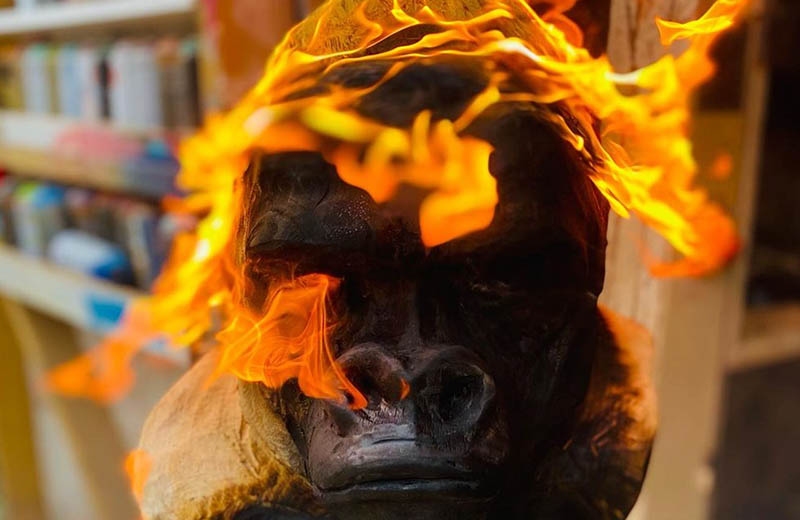 Brendan Rawlings Gallery Image 3