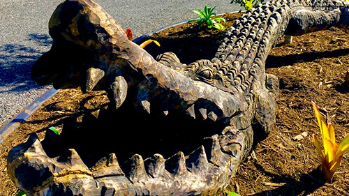 Chris McKenzie Gallery Image 5