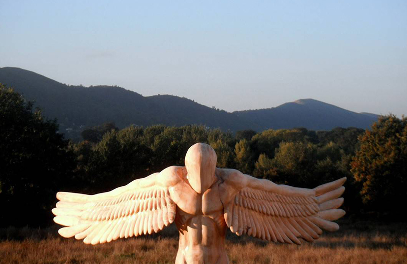 Arbortech-Ed-Elliott-Gallery-11