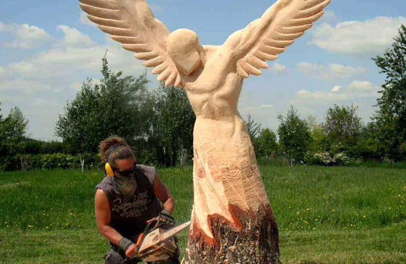 Arbortech-Ed-Elliott-Gallery-2