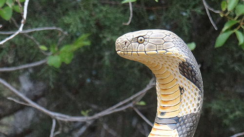 Mike Stinnett Gallery 3