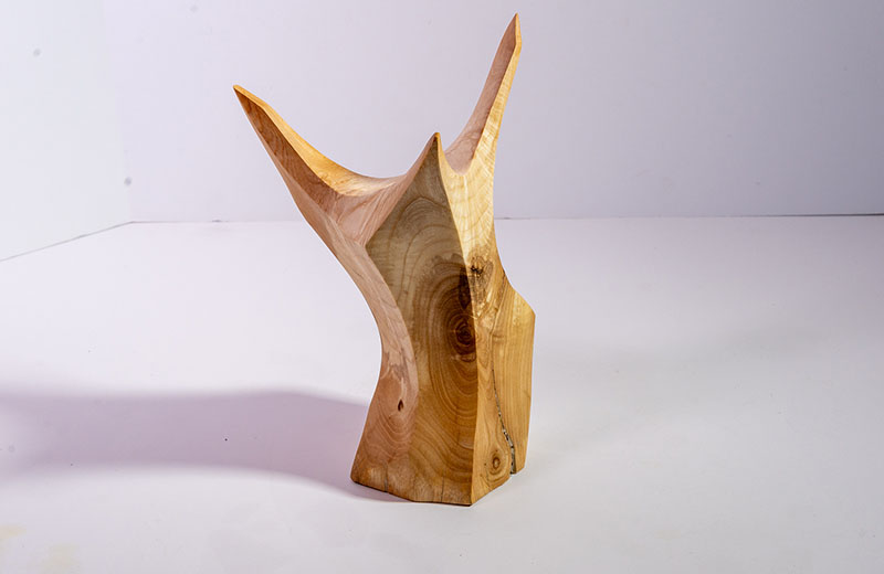 Sean Phillips Gallery 5