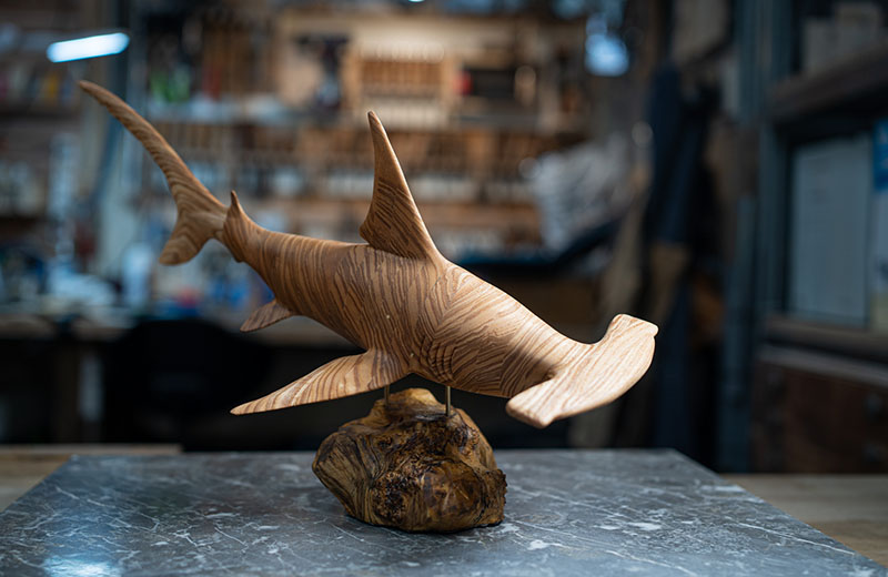 Sylvian Gautier Image Gallery 2