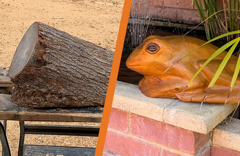 Stump to Garden Frog