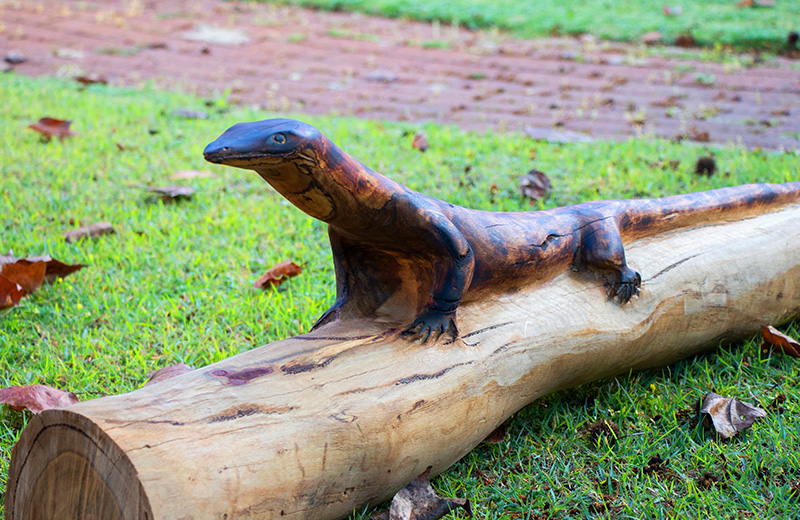 Perth Garden Show Projects 5