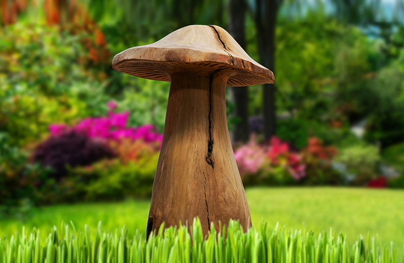 Perth Garden Show Projects 6