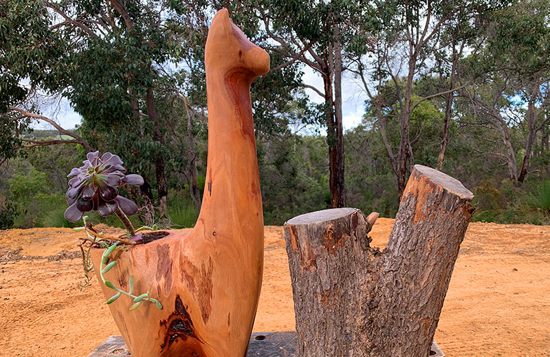 Perth Garden Show Projects 8