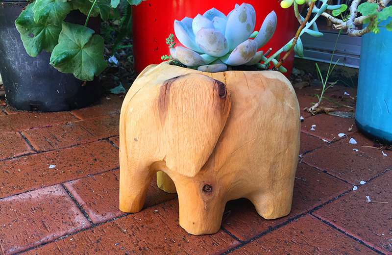 Perth Garden Show Projects 9