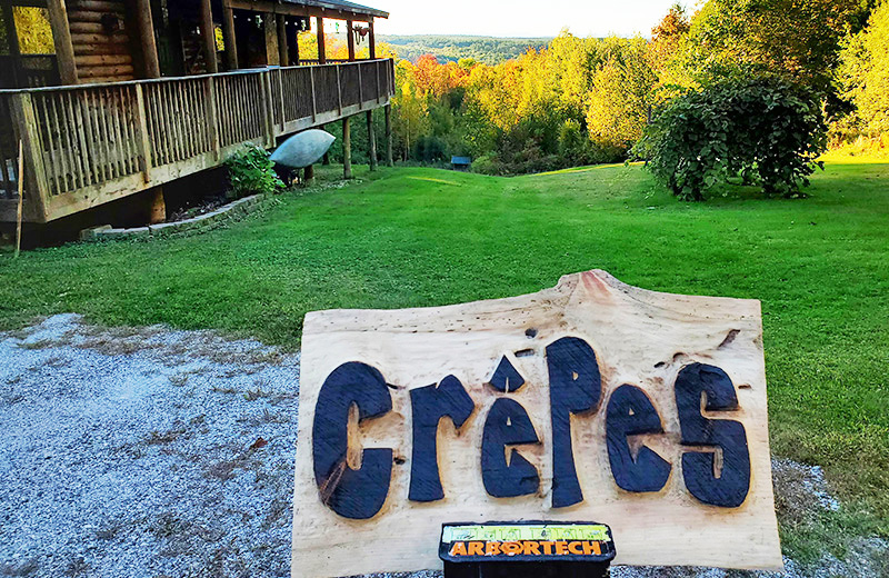 Arbortech Power Carving  Comp 2022 Gallery 9