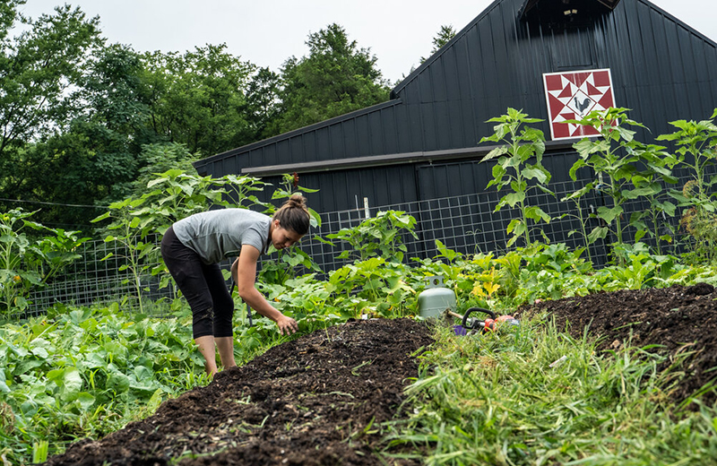 Anne Briggs Spring Gallery 5