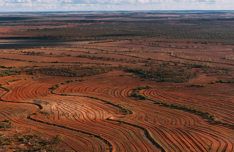 World Environment Gallery 1