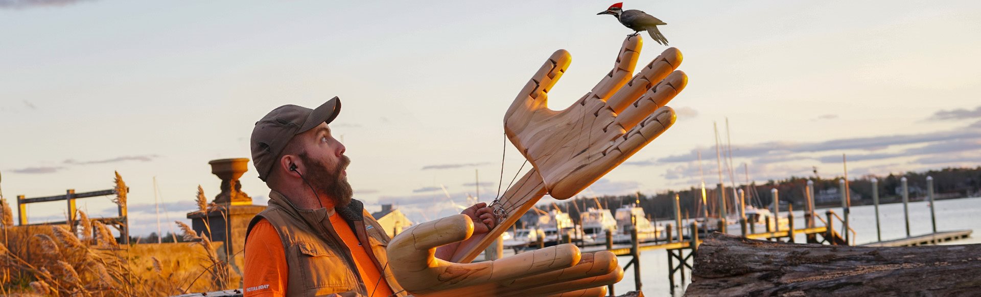 Paul Jackman | Arbortech, image size:1920x583