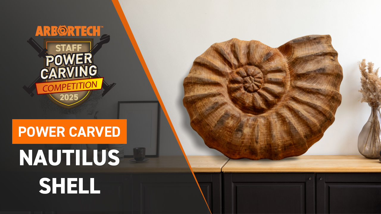 Power Carved Nautilus Shell