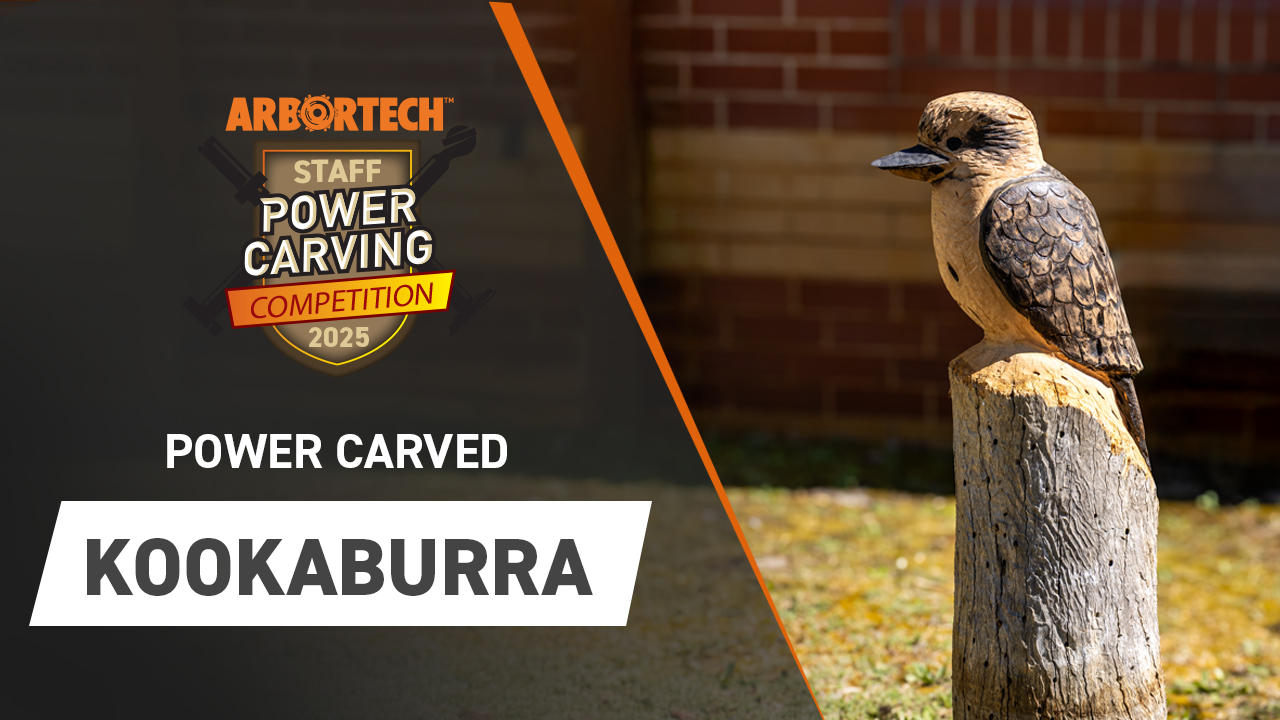 Power Carved Kookaburra