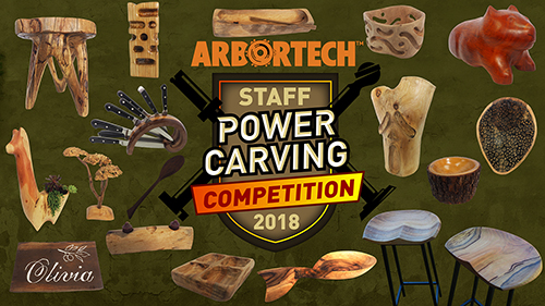 Arbortech Staff Power Carving Comp 2018