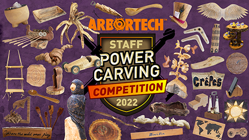 Arbortech Staff Power Carving Comp 2022