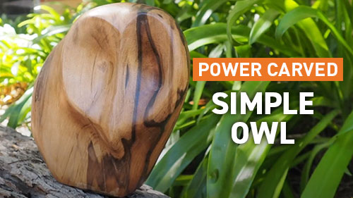 Carve A Super Simple Owl