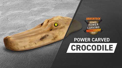 Wood Carved Crocodile