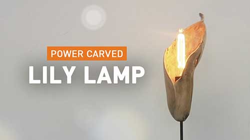 Make Your Own Lily Lamp