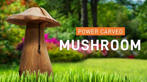 Power carved Mushroom