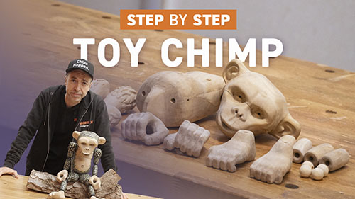 Step-by-step Toy Tutorial