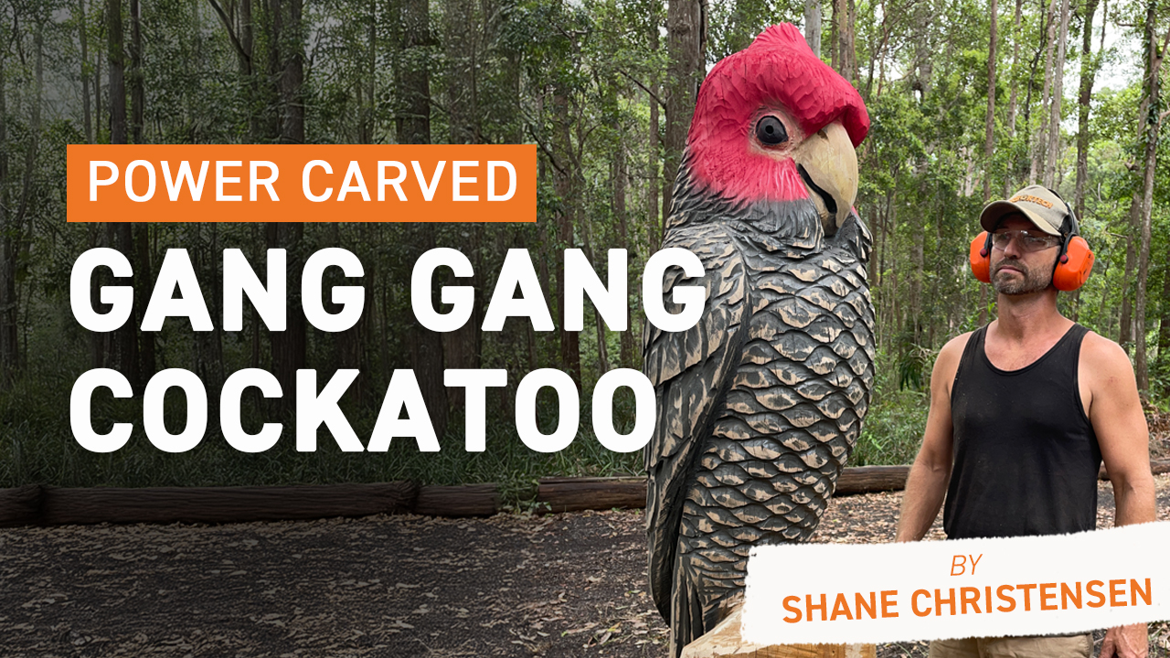 Power Carved Gang Gang Cockatoo