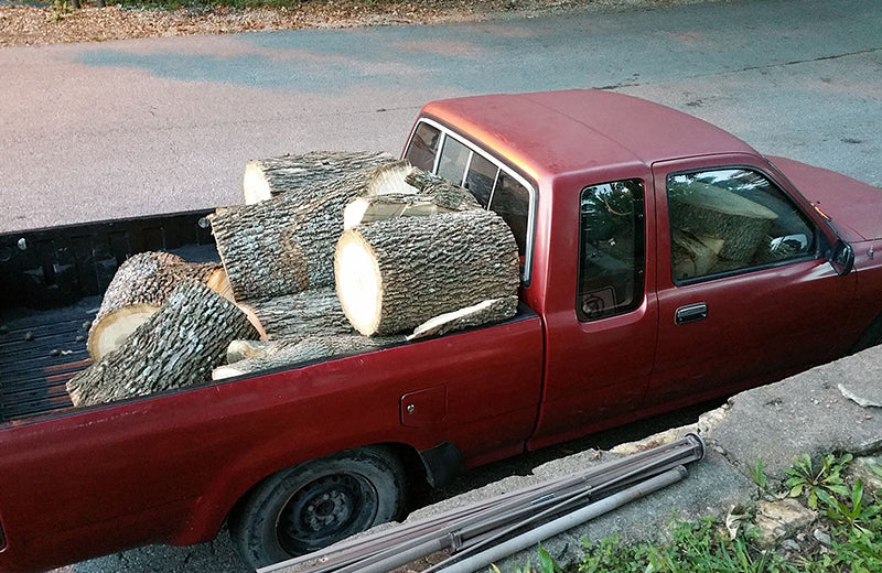 Tracey Gallery 3