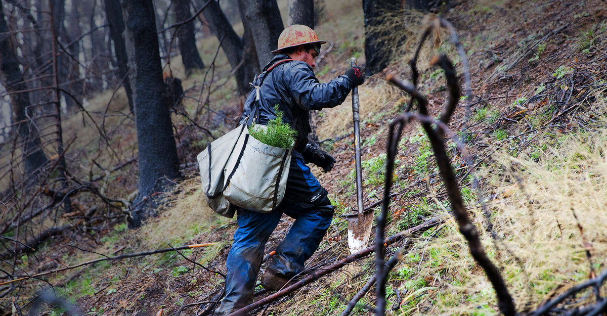 Partnering with Carbon Neutral